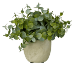 TERRA Plant in pot wit, groen H 19 cm - Ø 6 cm