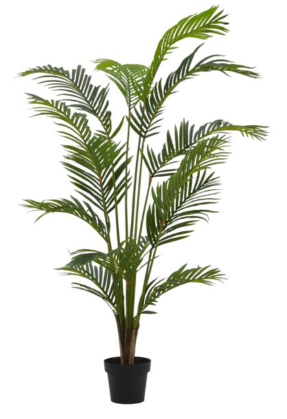 KWAI Palmier vert H 180 cm - Ø 14,5 cm