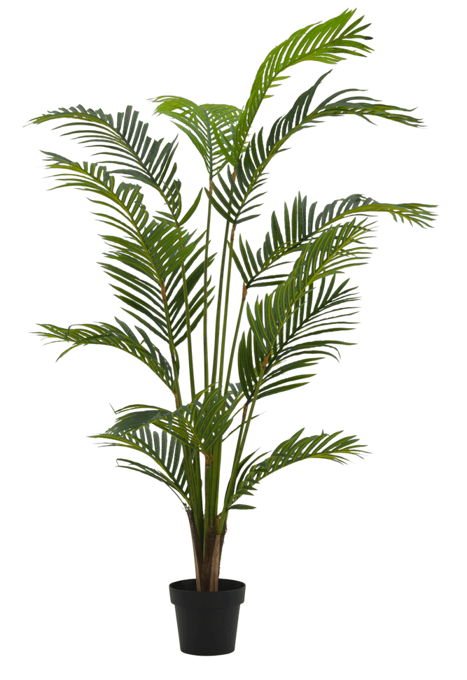 KWAI Palmier vert H 180 cm - Ø 14,5 cm | CASA