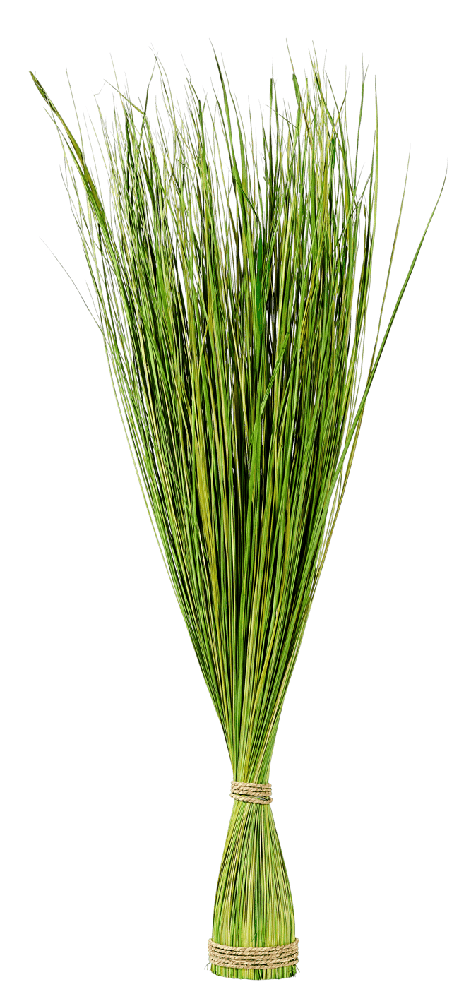 COGON Botte d'herbe vert H 106 cm - Ø 10 cm