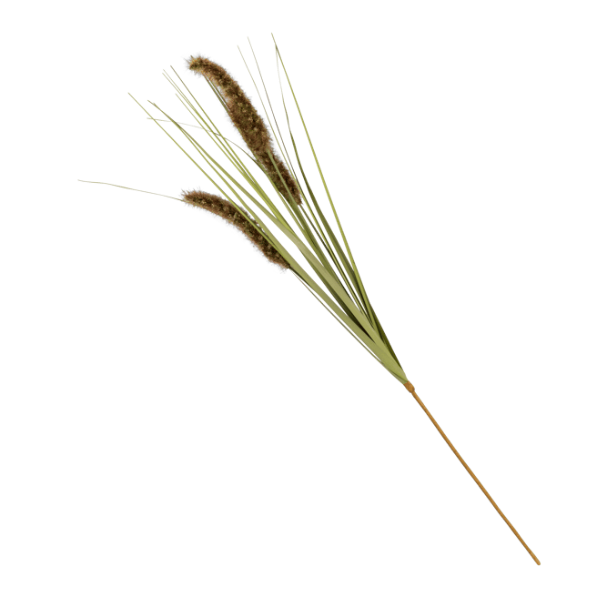 GRASS Hampe de roseau vert Long. 89 cm