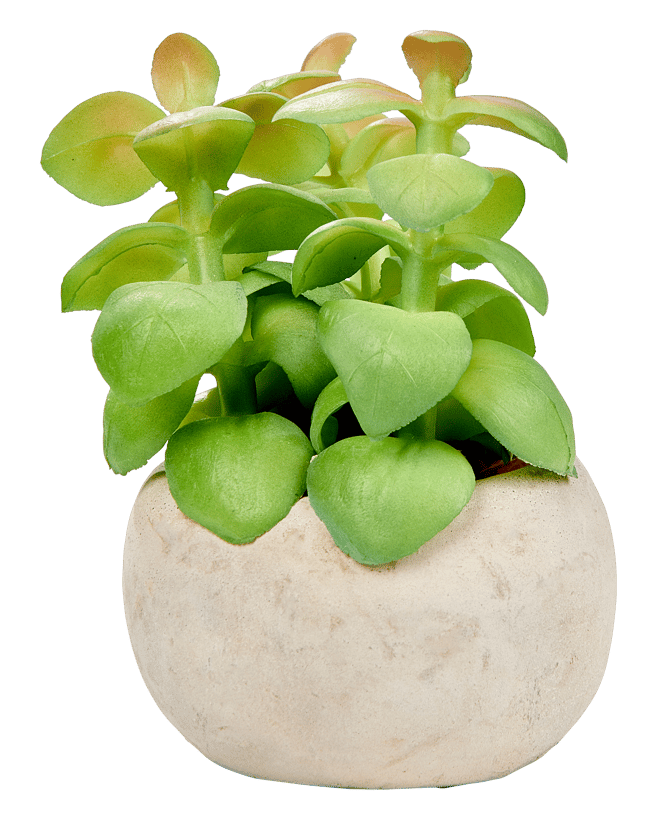 STONE Kunstvetplant in pot groen H 5 cm - Ø 5,5 cm