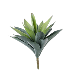 VERA Planta crasa en un palillo verde L 24 cm - Ø 24 cm