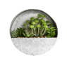 ZINC Déco à suspendre plante artif. transparent H 20 x P 7 cm - Ø 20 cm