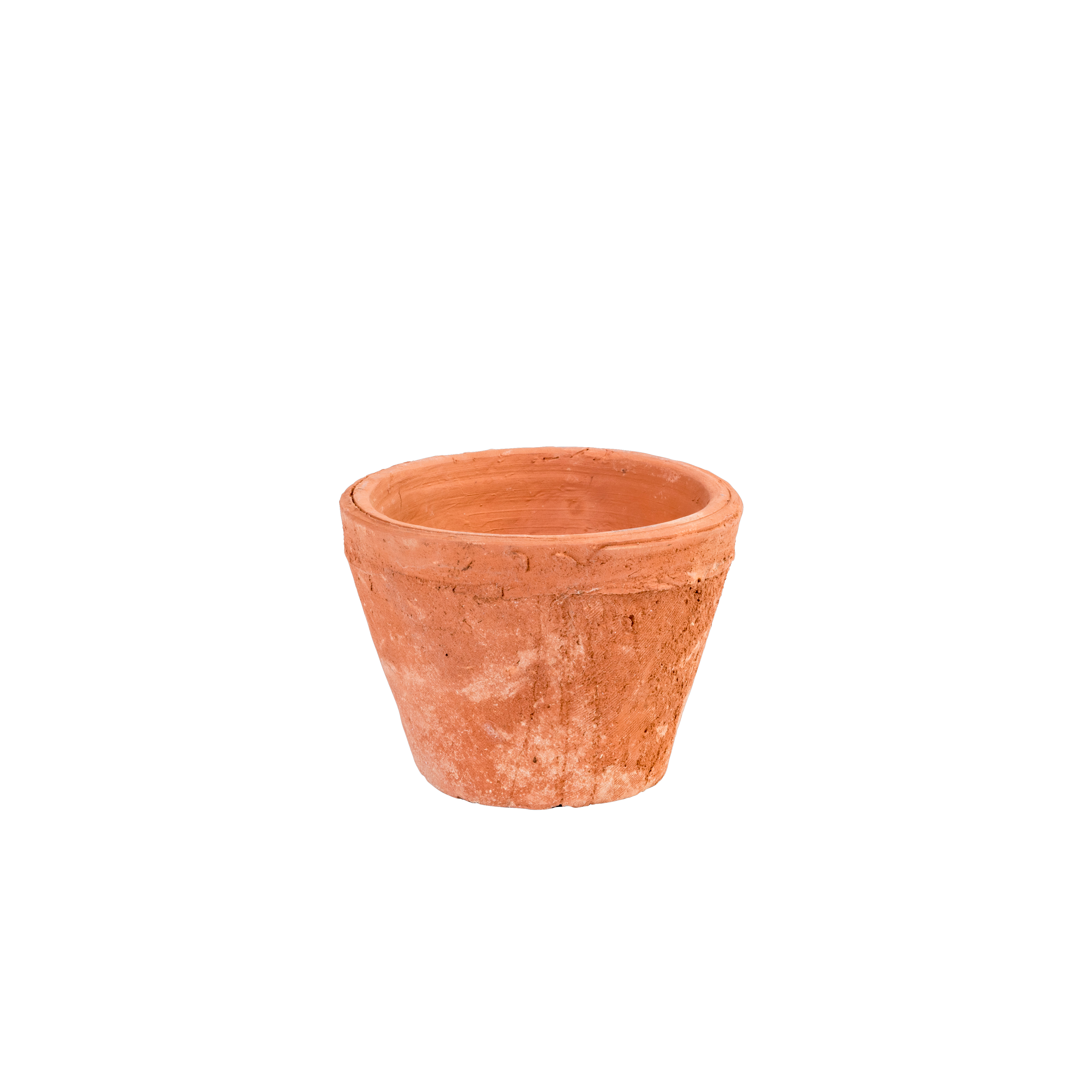1 Esemplare di Pianta Grassa (vaso - 7.5) in Terracotta Online