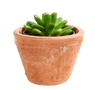 TIERRA Vaso per piante terracotta H 7,5 cm - Ø 10 cm