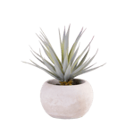 CEMENT Succulente finto in vaso grigio H 18,5 cm - Ø 18 cm