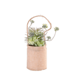 ROPE Planta artificial em vaso pendurar natural Ø 14 cm