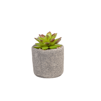 GRANIT Pianta grassa in vaso verde H 11,5 cm - Ø 7,5 cm