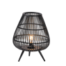BOZA Lampe LED E27 noir H 49 cm - Ø 37,5 cm