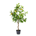 LEMON Albero di limone verde H 100 cm - Ø 55 cm