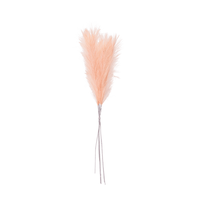 ECRU Plumas decorativas castanho claro L 72 cm