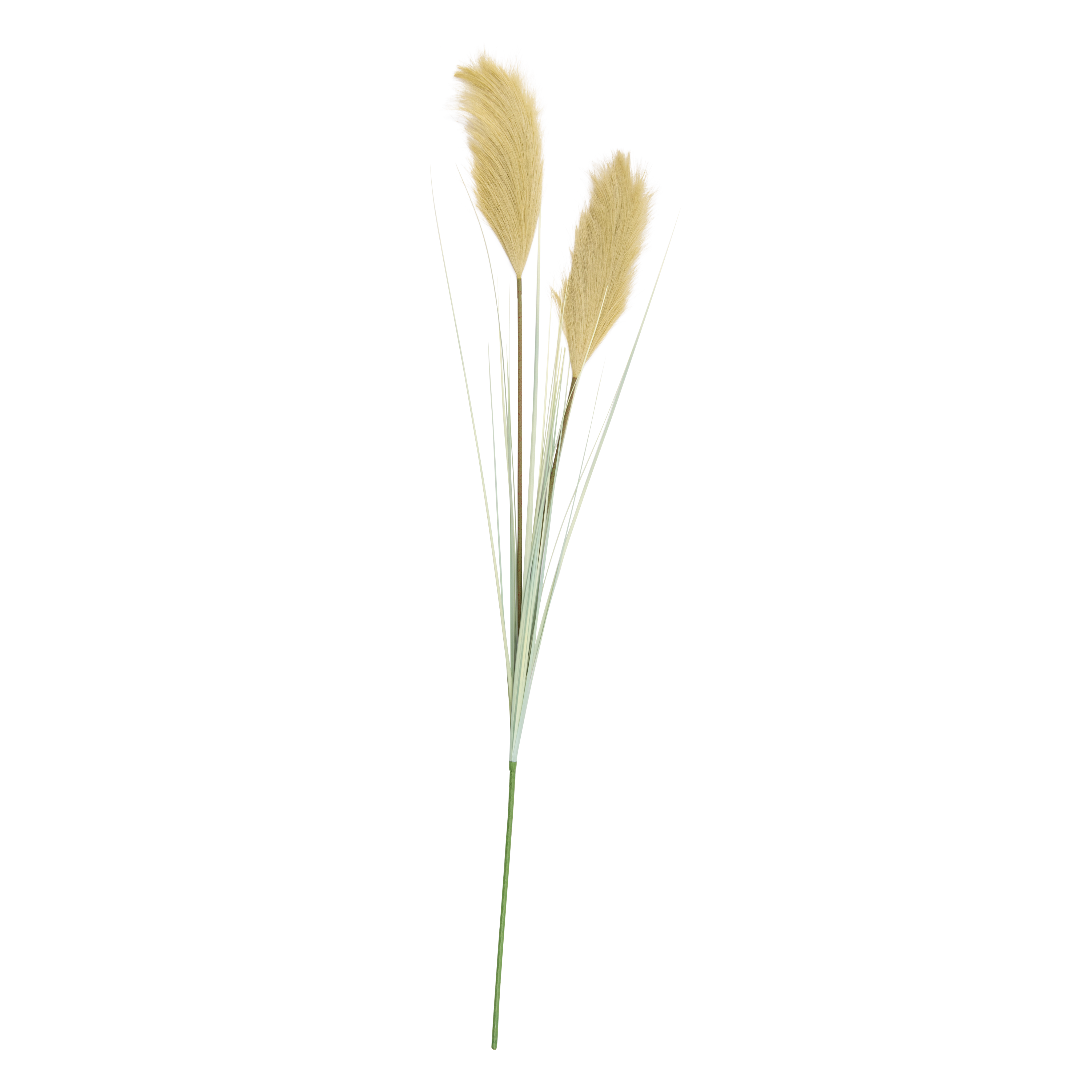 Grass con plumas blancas en balde – Galpón de Diseño