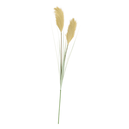 GRASS Caña con pluma verde L 107 cm