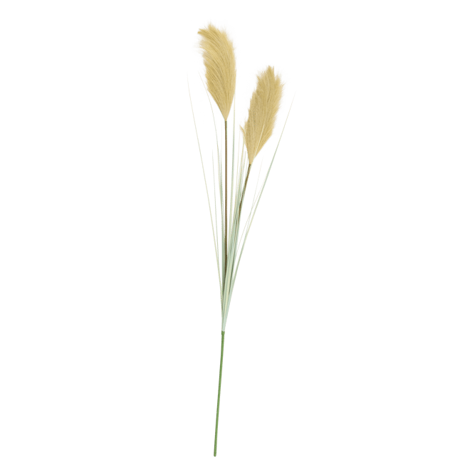 GRASS Panicule de roseau vert Long. 107 cm