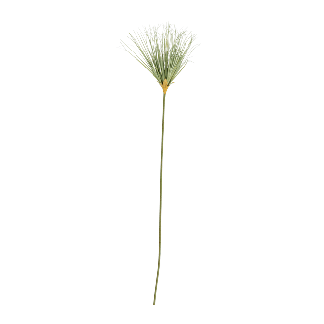 GRASS Botte dherbe vert Long. 102 cm