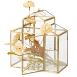 SERRE Terrarium pour plantes doré H 26 x Larg. 24 x P 13 cm