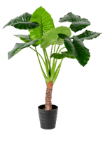 TARO Plante artificielle arum vert H 130 x Larg. 110 cm