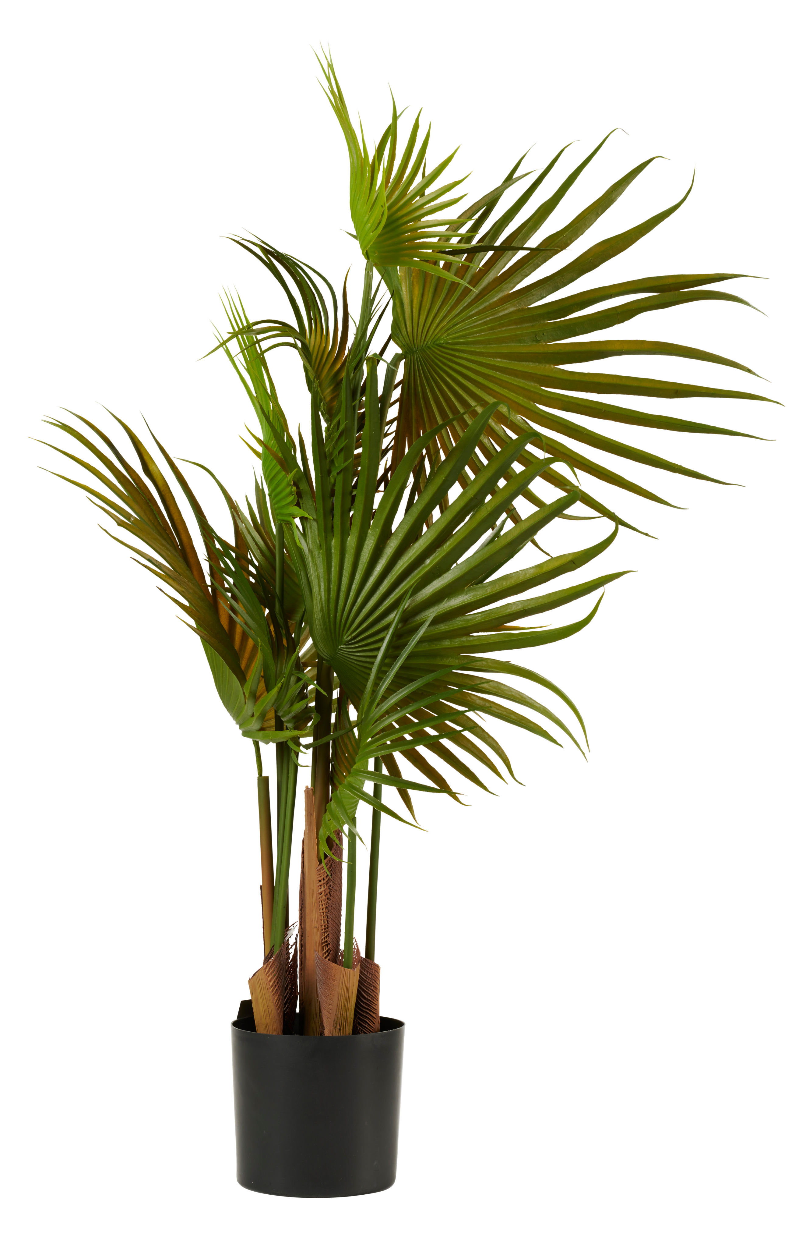 20 tovaglioli palme foglie di palma piante tropicali 33 x 33 cm 