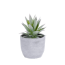 FLOCKY Plant in pot groen H 15 cm - Ø 13 cm