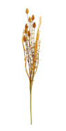 PLANTAGO Rama de hierba marrón, amarillo, verde L 60 cm