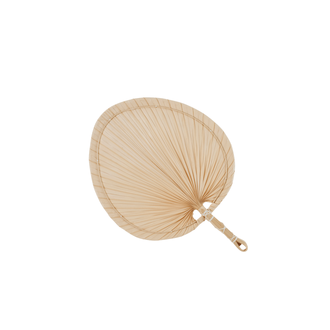 PALMINO Palmblad naturel H 37 x B 26 cm