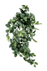 FITTONIA Ghirlanda di foglie verde L 54 cm