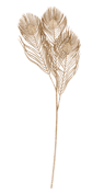 GOLDY Plume de paon doré Long. 67 cm