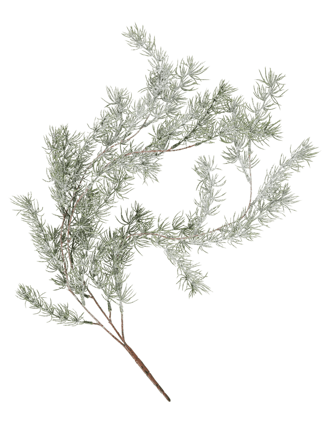 CEDER Branche décorative vert Long. 74 cm