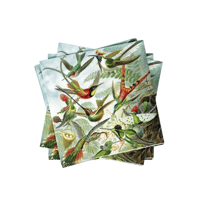 COLIBRI Guardanapos conjunto de 20 multicolor W 33 x L 33 cm