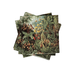 MOSS Paquete de 20 servilletas multicolor An. 33 x L 33 cm