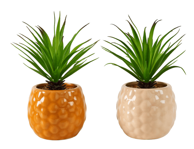 PINA Ananasplant in pot 2 kleuren marsepein, mosterd H 16 cm