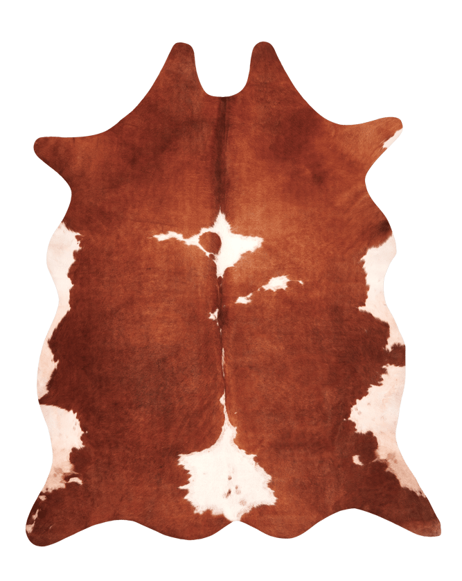 STABLE Tapis brun Larg. 155 x Long. 190 cm