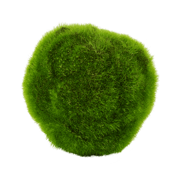 MOSS Sfera di muschio verde Ø 17,5 cm