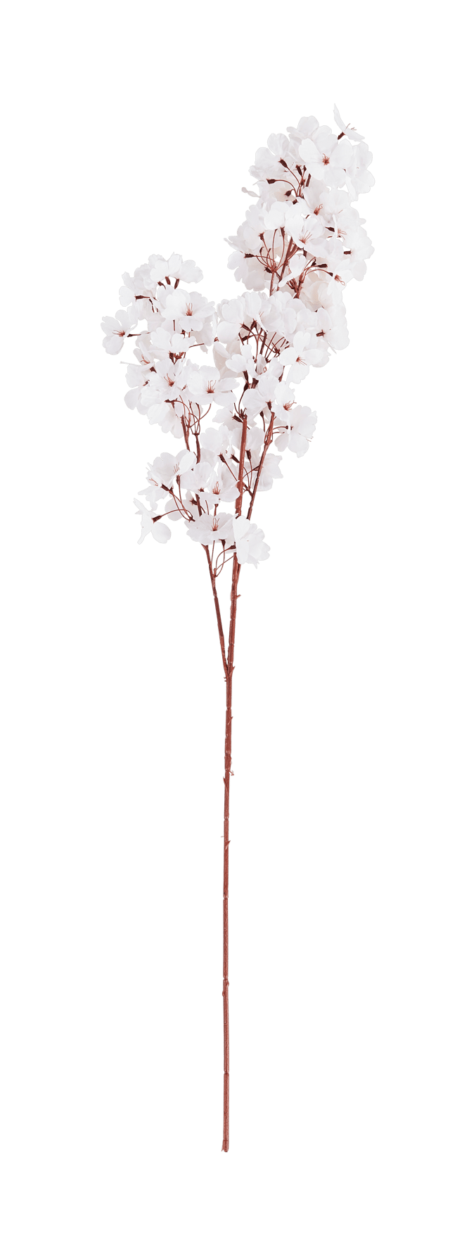 CHERRY Ramo com flor branco L 110 cm