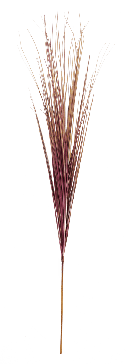 GRASS Mazzo di erba rosso L 95 cm