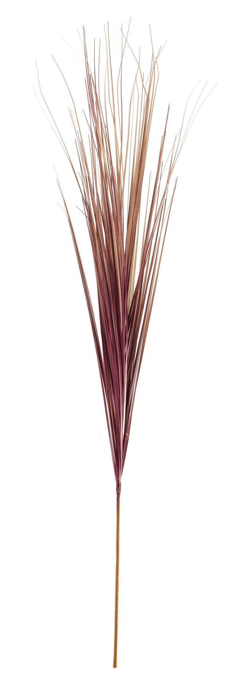 GRASS Mazzo di erba rosso L 95 cm