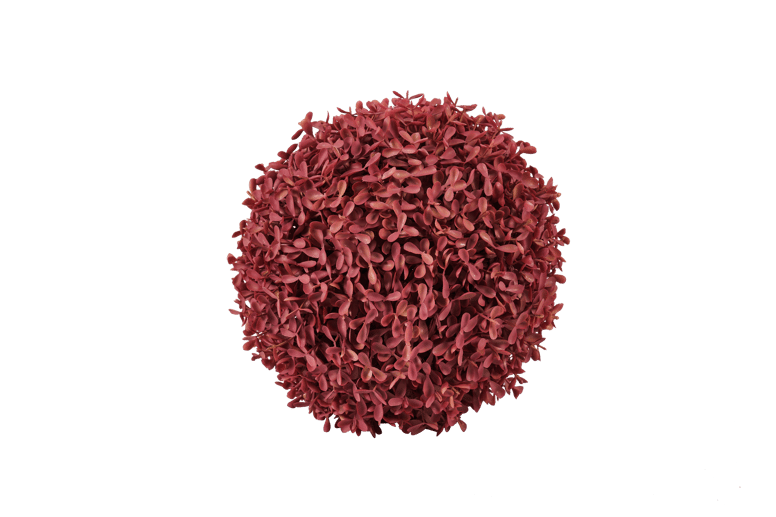 BOXWOOD Palla di buxus rosso Ø 22 cm