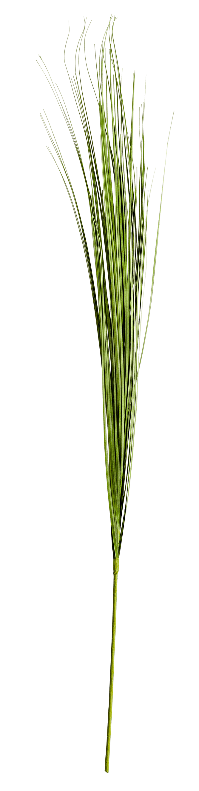 GRASS Botte dherbe vert Long. 95 cm