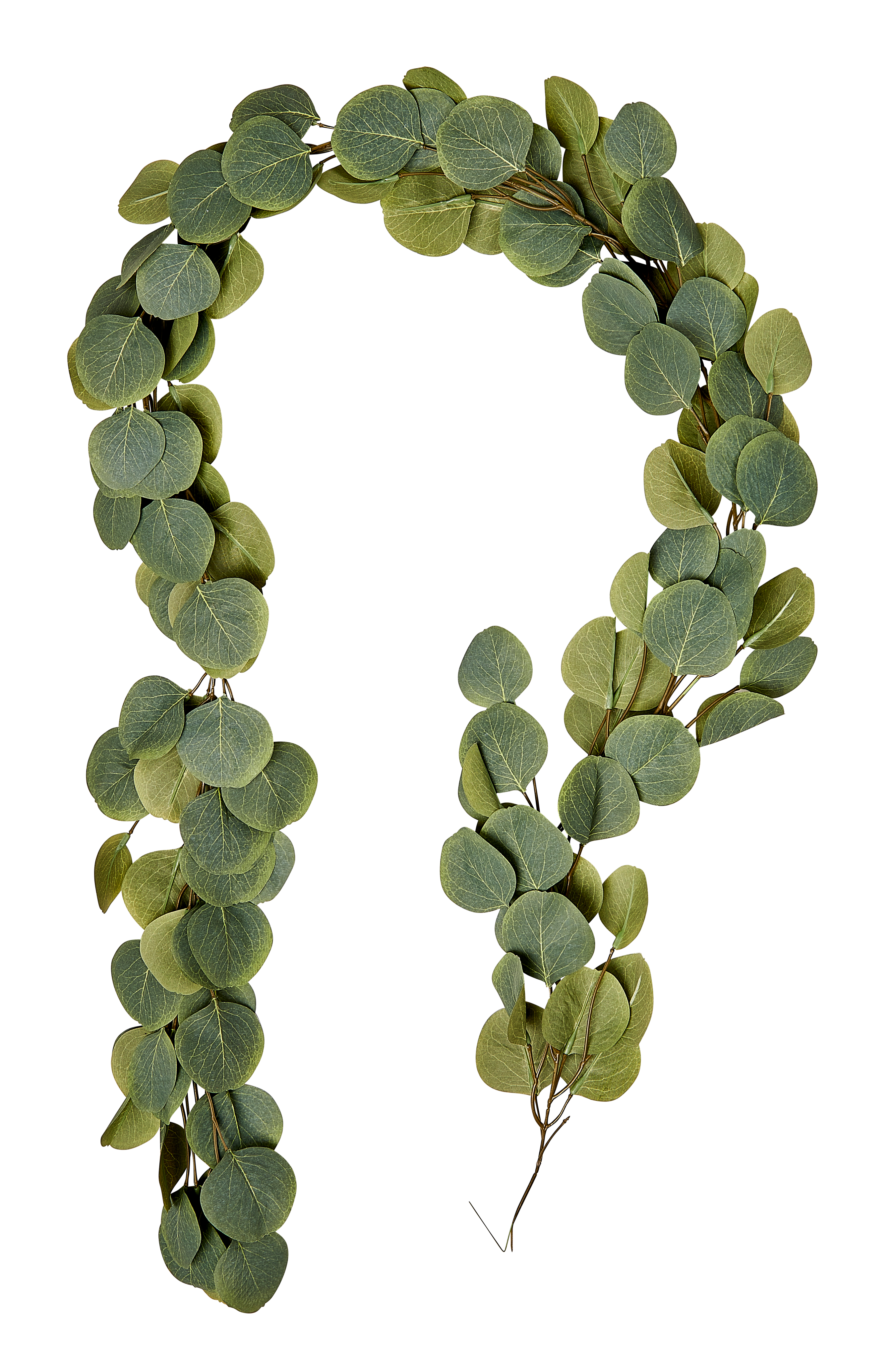 Guirlande de feuilles d'eucalyptus Couleur v002239 Artificielles