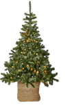 LUMINO Weihnachtsbaum Mit LED Grün H 185 cm - Ø 115 cm