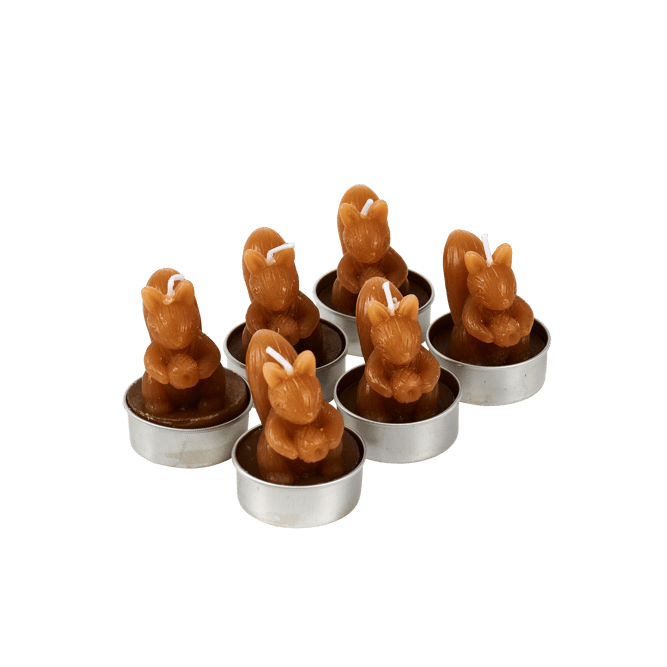 SQUIRREL Bougies chauffe-plat set de 6 brun H 5 cm - Ø 3,5 cm