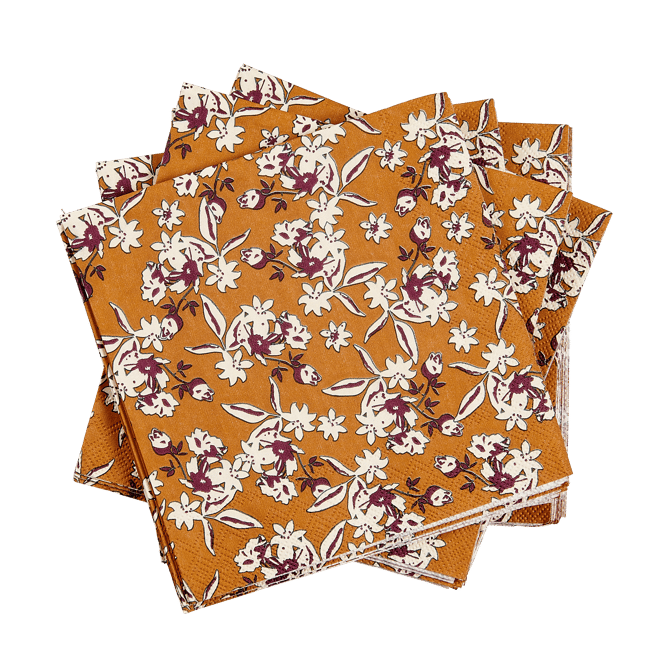 IKO Set de 20 serviettes diverses couleurs Larg. 25 x Long. 25 cm