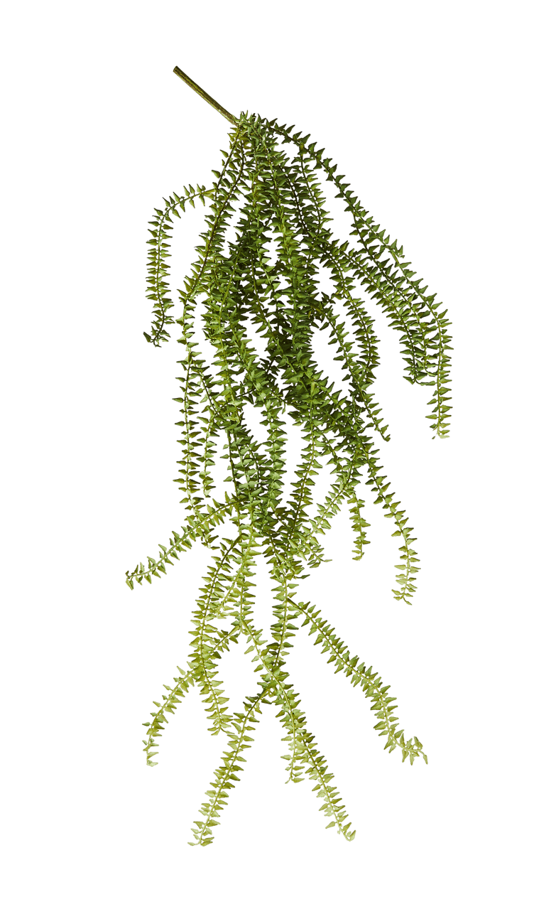 FERN Branche de fougère vert Long. 85 cm