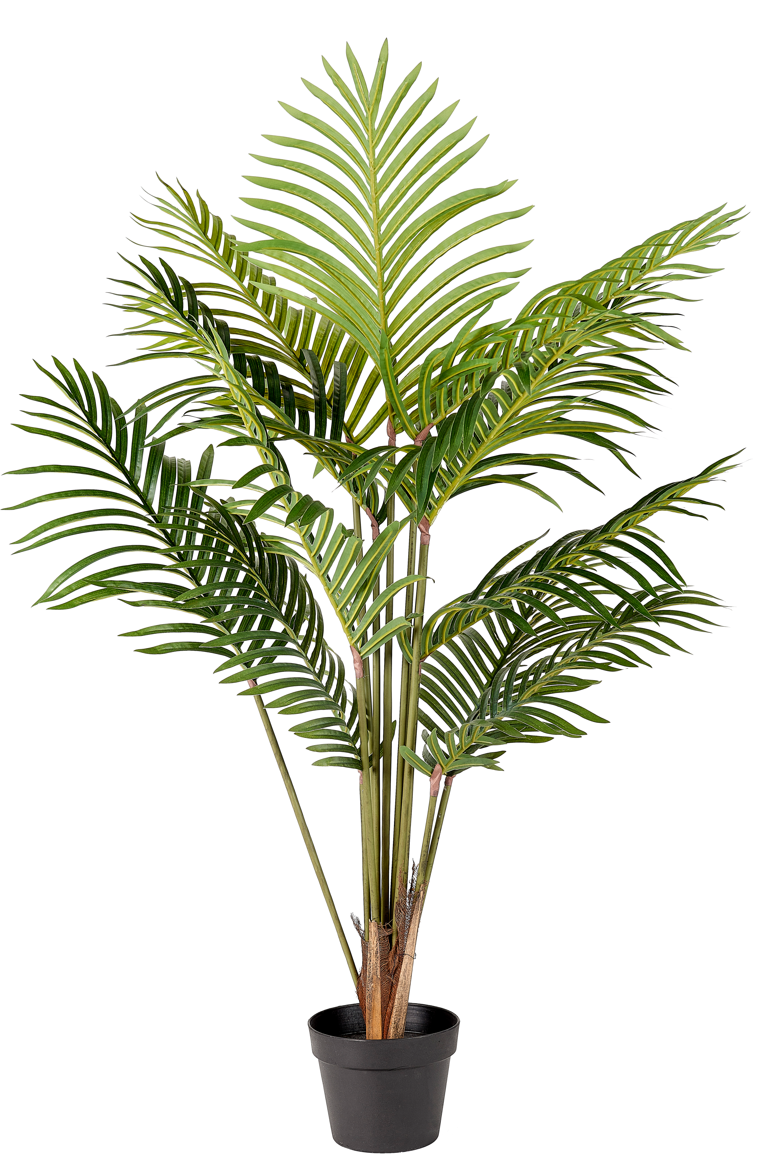 Mousse artificielle Fausse plante verte Faux Moss Maroc