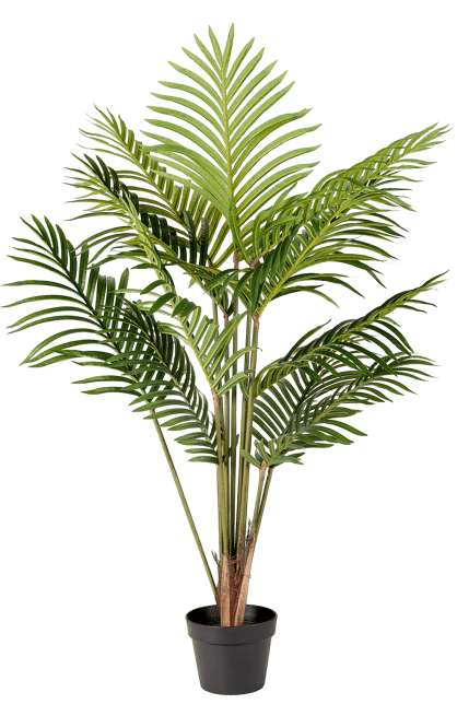 KWAI Palmeira verde H 120 cm
