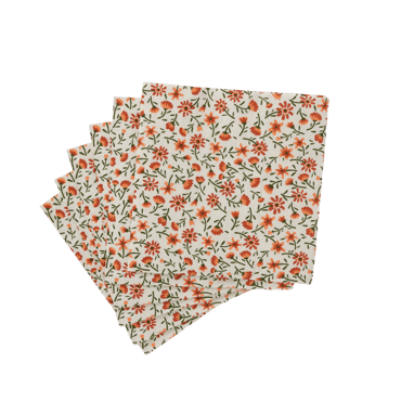 IRMA Set de 20 serviettes multicolore Larg. 25 x Long. 25 cm