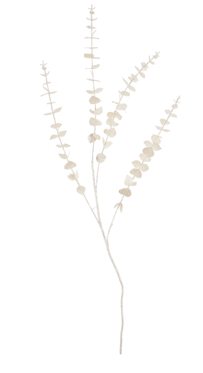 WHITE Ramo d'eucalipto bianco L 80 cm