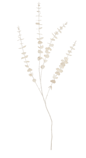 WHITE Ramo de eucalipto branco L 80 cm